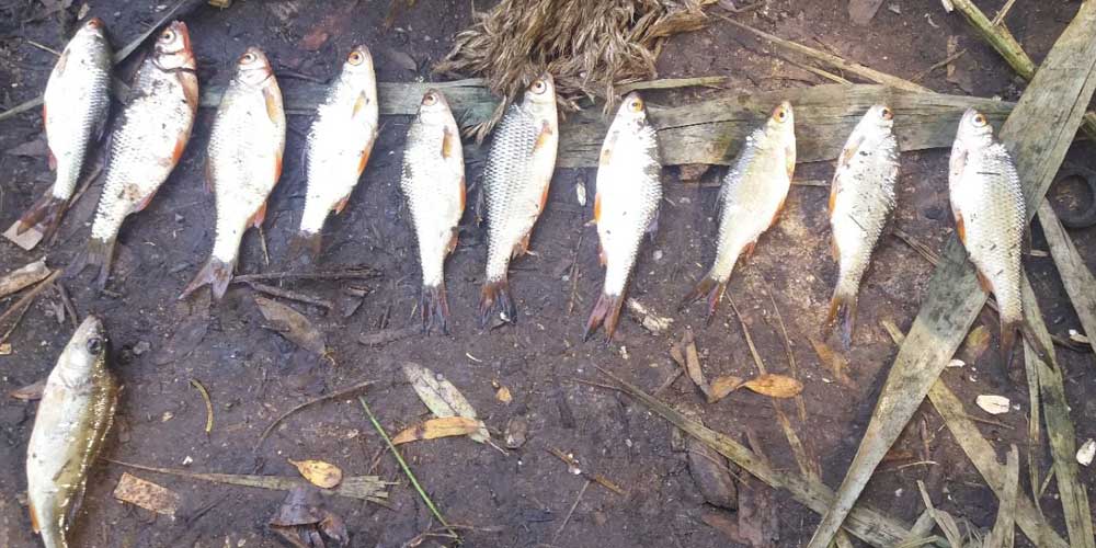 За тиждень рибоохоронний патруль виявив 45 правопорушень