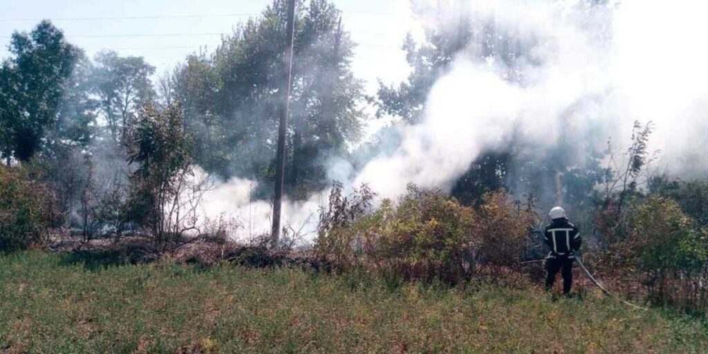 Минулої доби рятувальники гасили пожежі сухостою в шістьох районах області