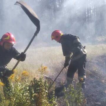 На Вінниччині за добу рятувальники 5 разів гасили пожежі в екосистемах
