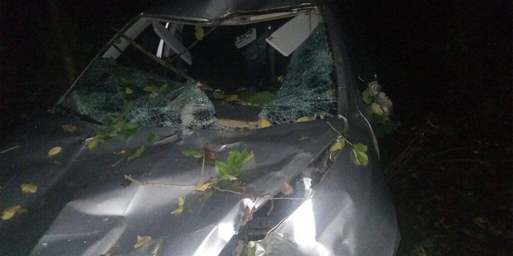 В Козятинському районі в лікарні помер водій автівки, на яку впало дерево