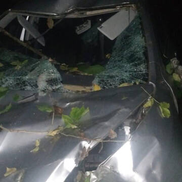 В Козятинському районі в лікарні помер водій автівки, на яку впало дерево