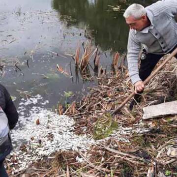 У Тяжилівський ставок днями запустили тонну малька