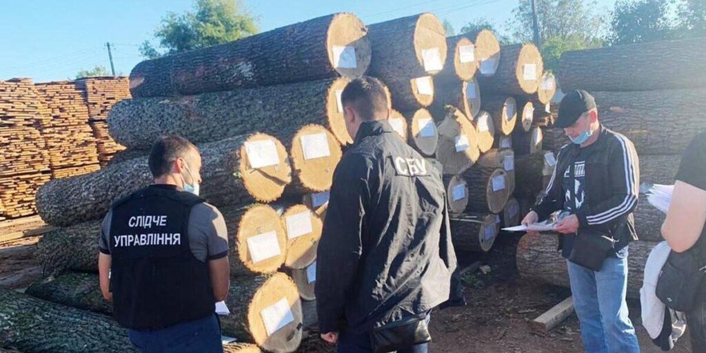 Посадовцям одного з лісництв Вінниччини оголошено про підозру у незаконній порубці