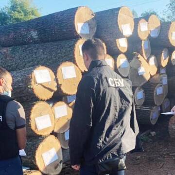 Посадовцям одного з лісництв Вінниччини оголошено про підозру у незаконній порубці