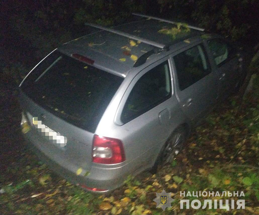 В Козятинському районі  в лікарні помер водій автівки, на яку впало дерево