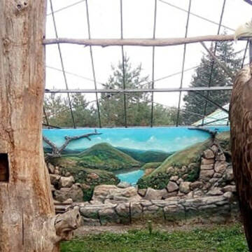 У Подільському зоопарку стіни вольєрів для птахів прикрасили пейзажами природи