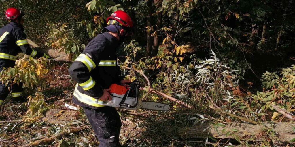 У Літинському районі рятувальники двічі прибирали з дороги повалені вітром дерева