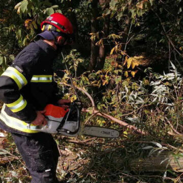 У Літинському районі рятувальники двічі прибирали з дороги повалені вітром дерева