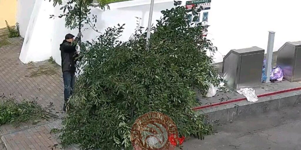 Вінничанин сплатить штраф за складування гілля на контейнерному майданчику