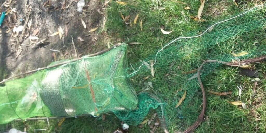 За тиждень інспектори рибоохоронного патруля виявили більше півсотні порушень