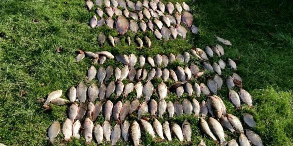 На Вінниччині рибалка за допомогою сіток виловив 25 кг риби і… штраф