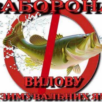 З 1 листопада на Вінниччині заборонено ловити рибу в зимувальних ямах