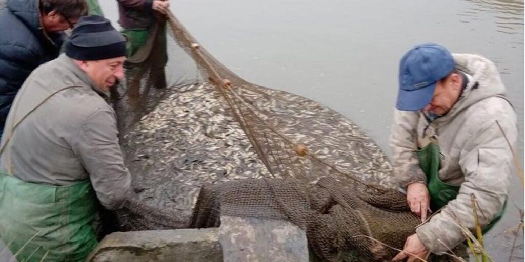 У Сербинівське водосховище випустили майже 6 тонни риби