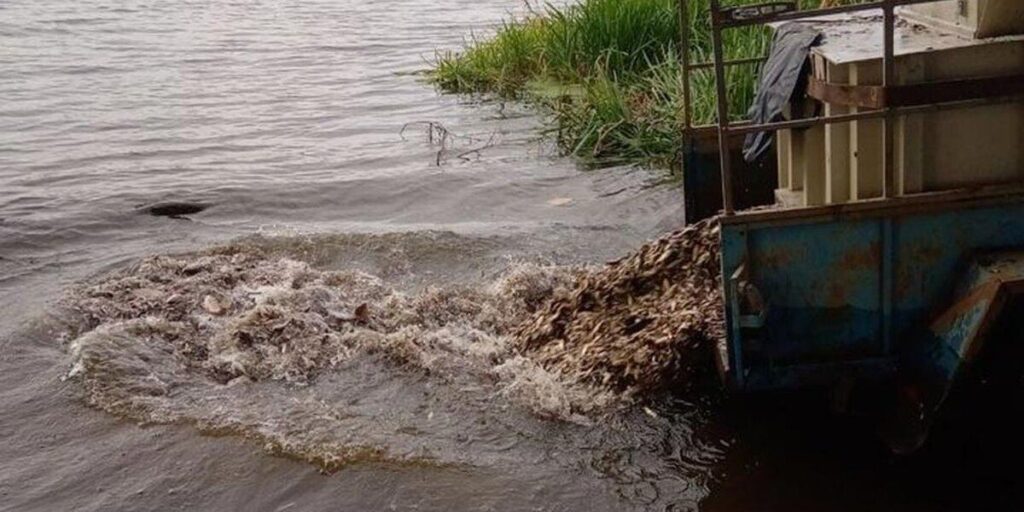 Ще майже 2,5 тонн риби випустили в Сутиське водосховище