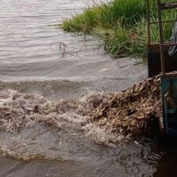 Ще майже 2,5 тонн риби випустили в Сутиське водосховище
