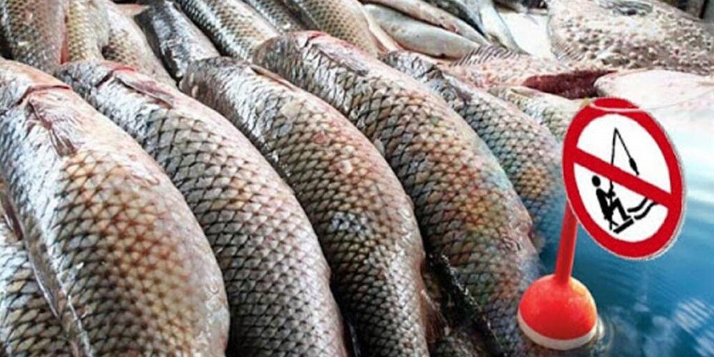 На Вінниччині вступила у силу заборона на вилов риби у зимувальних ямах
