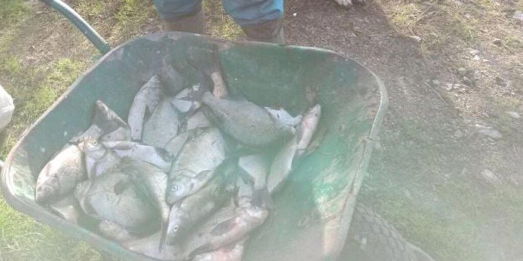 В Немирівському районі чоловіки ловили рибу сітками, тепер мусять сплатити штраф