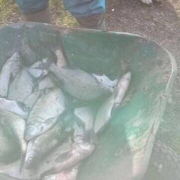 В Немирівському районі чоловіки ловили рибу сітками, тепер мусять сплатити штраф