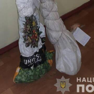 В Томашпільському районі у чоловіка вилучили 1,5 кг наркотиків