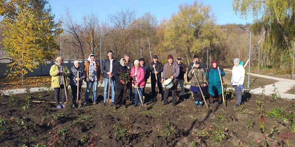 У Ямпільскому районі висадили 600 трояндових кущів