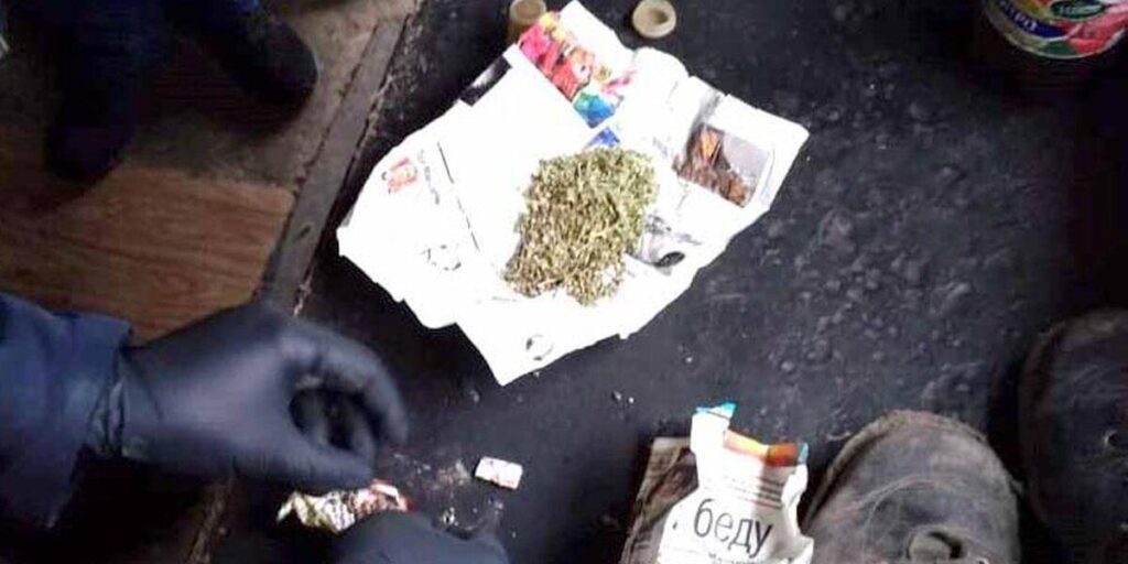 У трьох жителів Тиврівського району поліцейські вилучили близько кілограма марихуани
