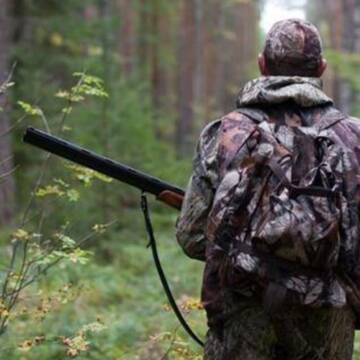 На Вінниччині розпочався сезон полювання на диких парнокопитних та хутрових звірів