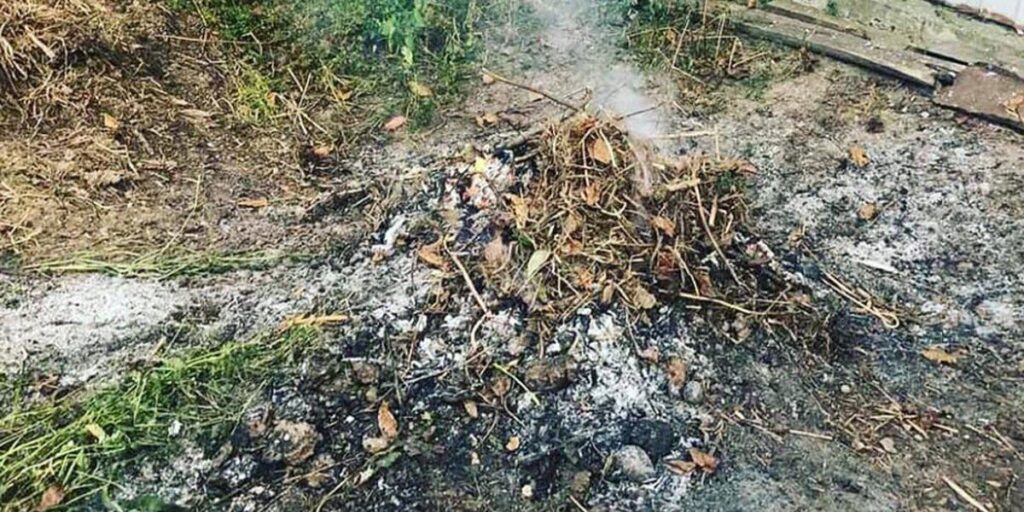 Вінничани стали менше спалювати листя