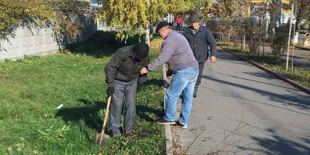 У Калинівці оновлюють липову алею