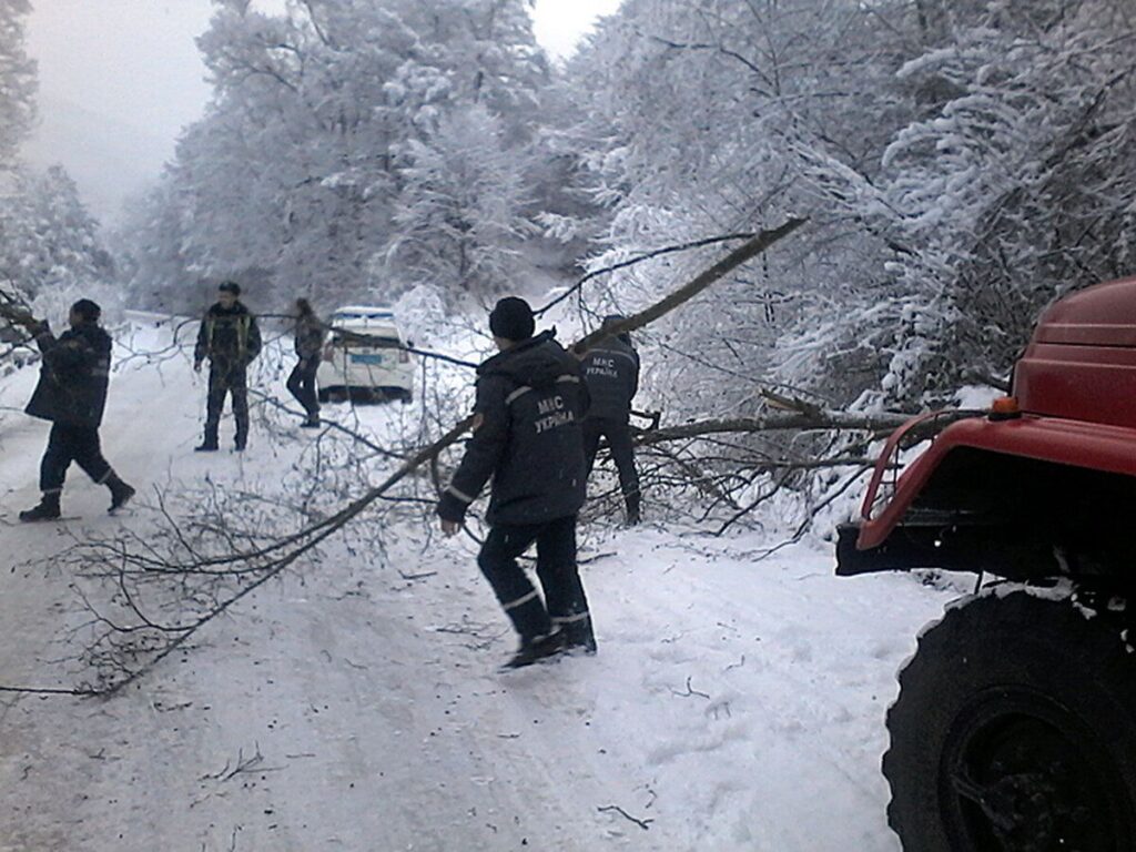 Сильний вітер повалив дерево на лісоруба. Чоловік помер на місці
