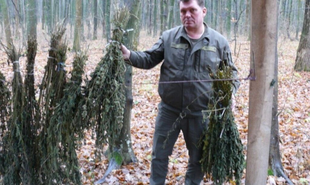 Лісівники з Вінниччини охороняють та доглядають за лісовими мешканцями