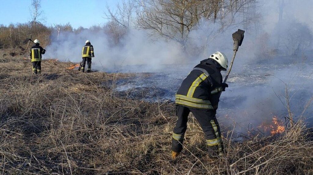 На Вінниччині за вихідні горіло чотири чагарники