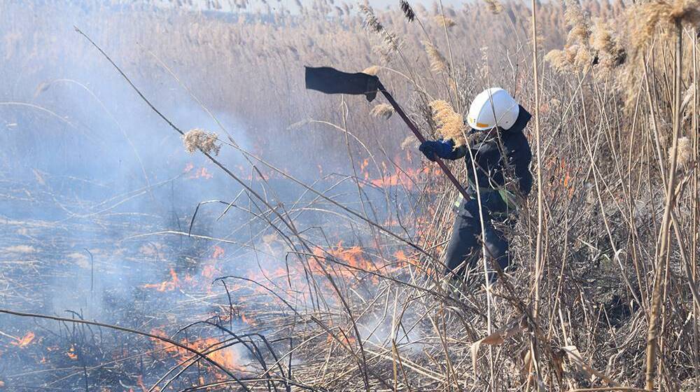 Куди телефонувати, коли бачите у Вінниці паліїів сухої трави