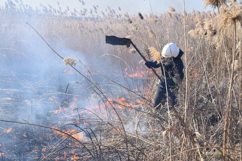 Куди телефонувати, коли бачите у Вінниці паліїів сухої трави