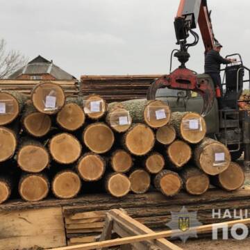 На Вінниччині поліція викрила злочинну групу, яка розкрадала лісопродукцію