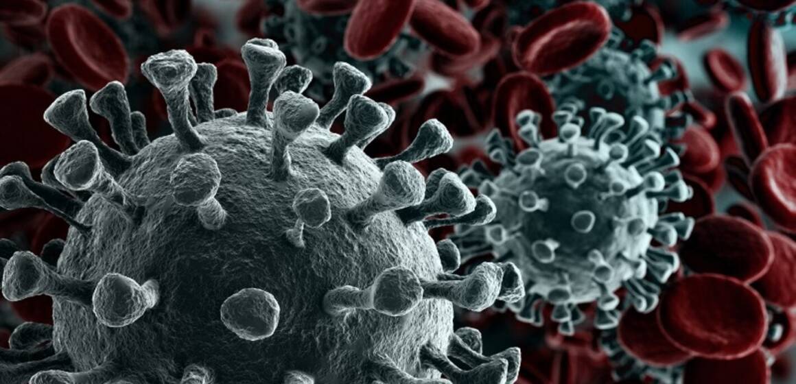 На Вінниччині не зафіксовано летальних випадків від коронавірусу
