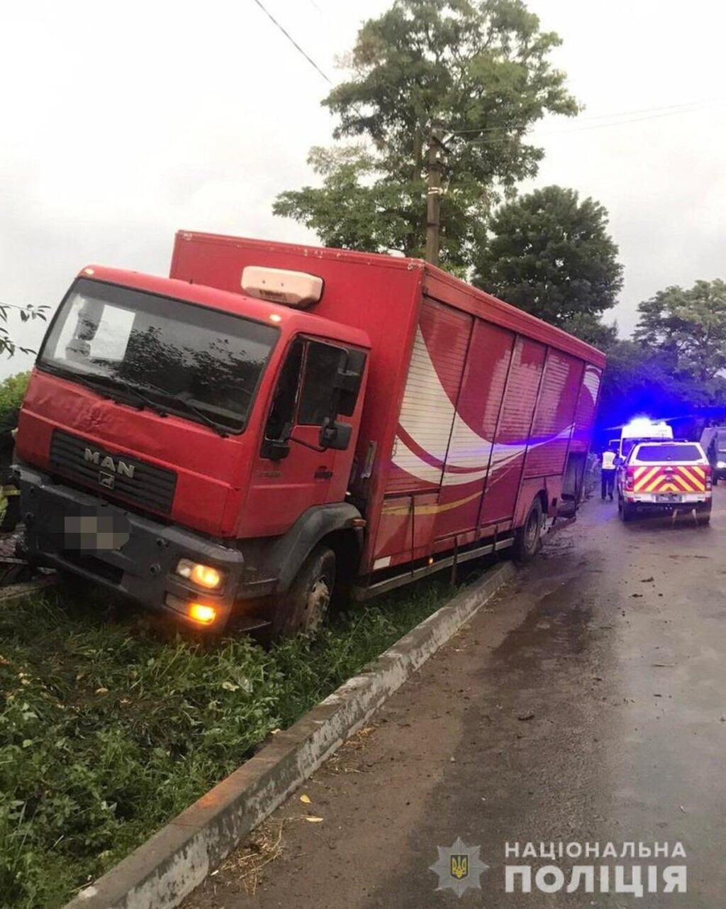 На Вінниччині вантажівка насмерть збила пішохода