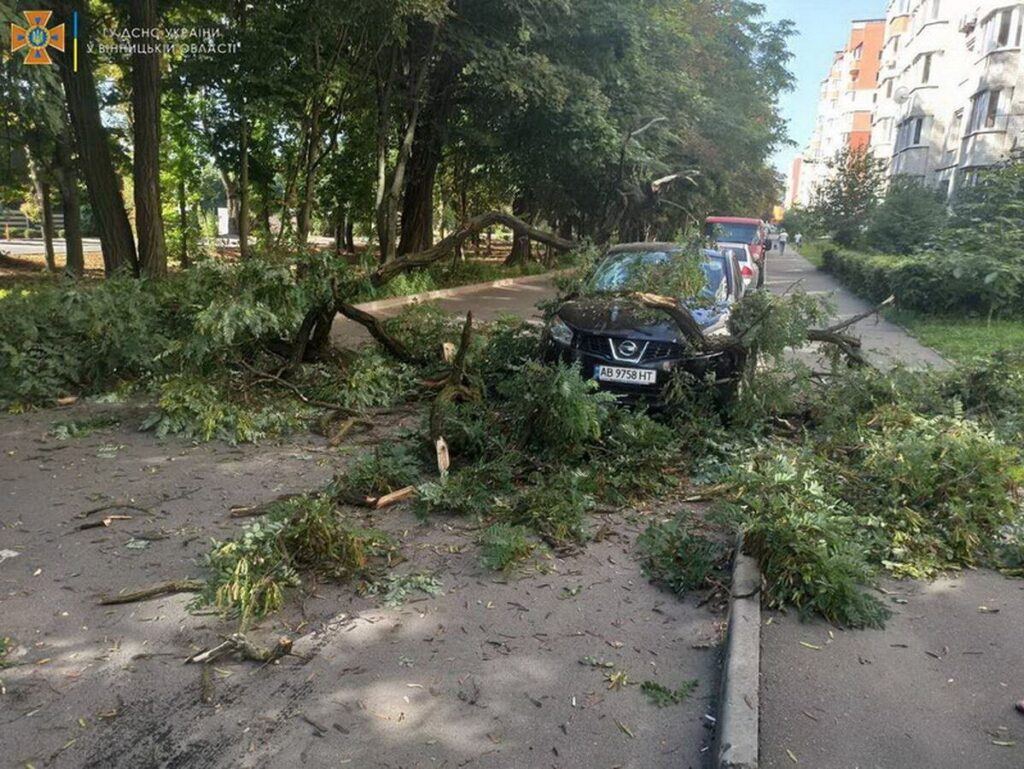 В одному з мікрорайонів міста дерево впало на автомобіль
