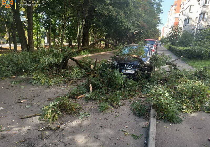 В одному з мікрорайонів міста дерево впало на автомобіль
