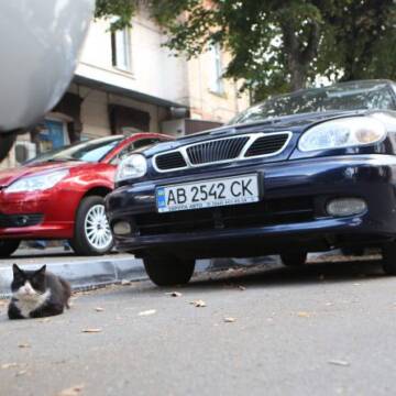 Скоро вінничани зможуть припаркувати своє авто на платній парковці