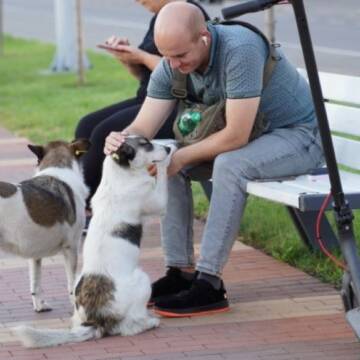 У Вінниці стерилізують близько 250 безпритульних собак