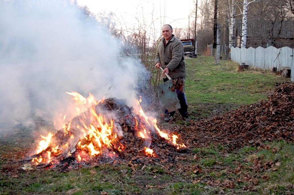 Жителям Вінниччини нагадали чому шкідливо спалювати листя