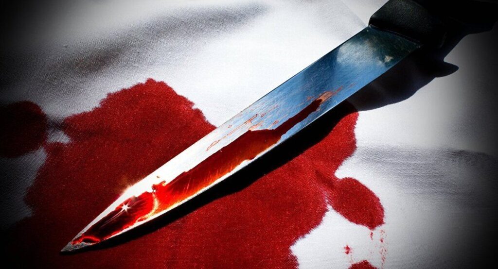 На Вінниччині 16-річна дівчина зарізала кухонним ножем власну матір