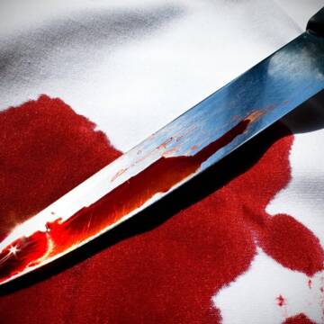 На Вінниччині 16-річна дівчина зарізала кухонним ножем власну матір