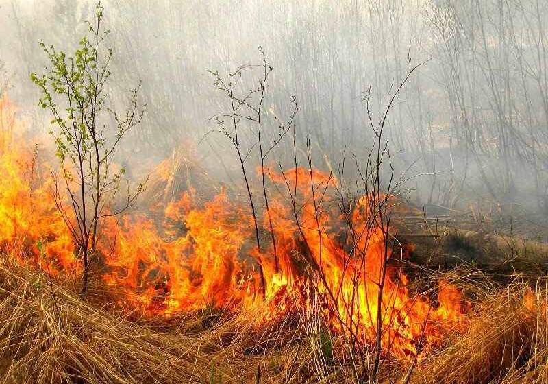 На Вінниччині за добу зафіксували п’ять пожеж