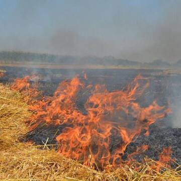 Знову пожежа! За добу на Вінниччині згоріло 11 гектарів сухої трави