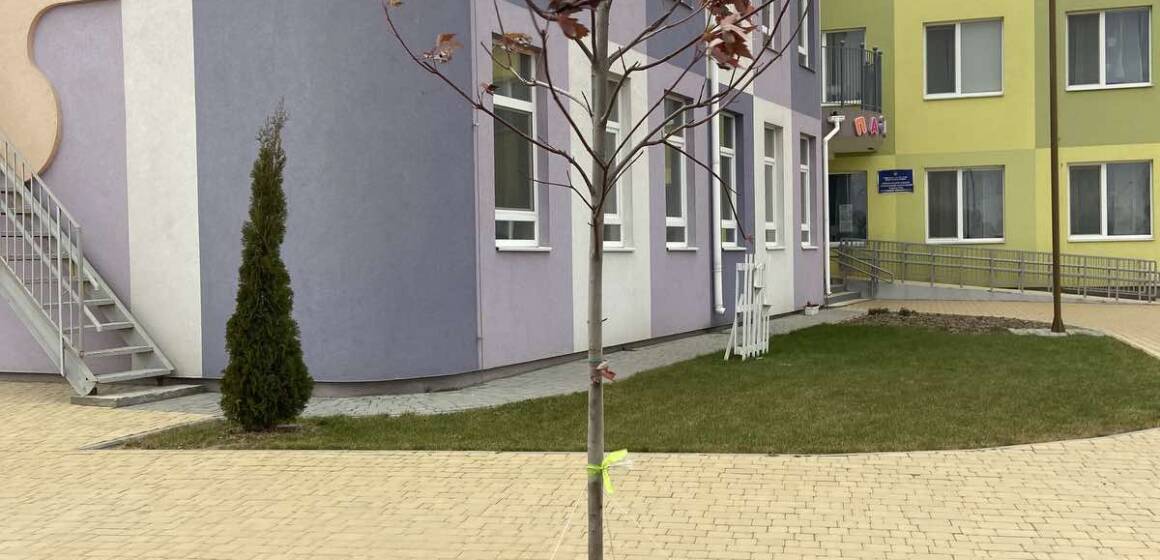 У вінницьких школах та садочках висадили 204 молодих дерев