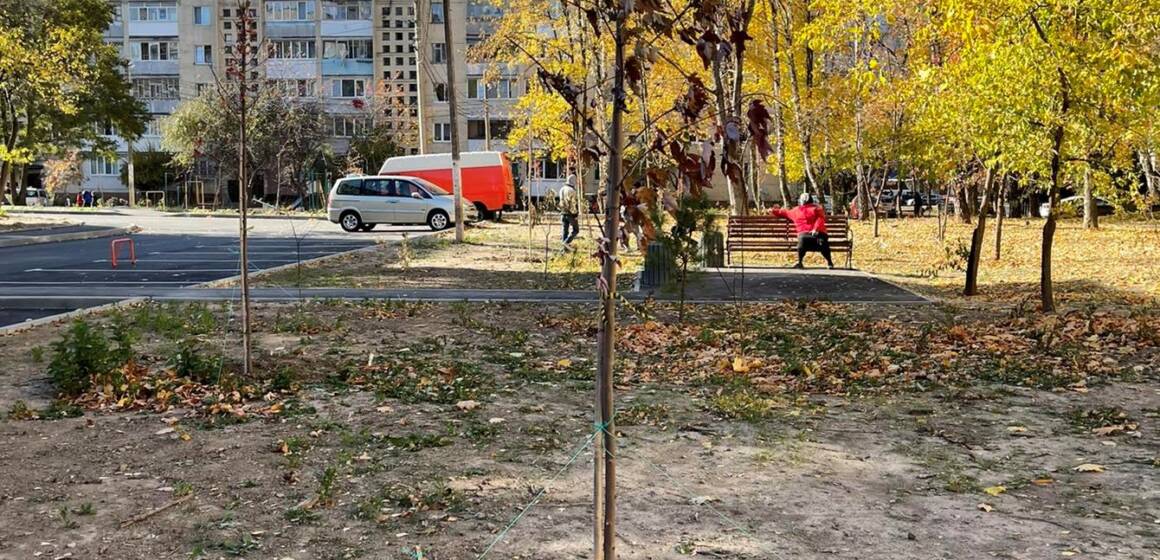 У дворах Вінниці висадили 800 молодих дерев