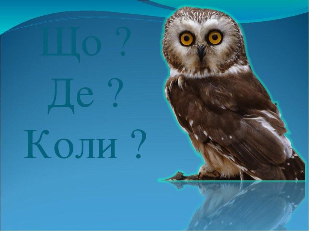 Вінницьких школярів запрошують на Що? Де? Коли?