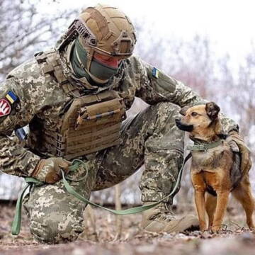 Фото собак, які допомагають втримувати мир та позитивний настрій на бойових позиціях