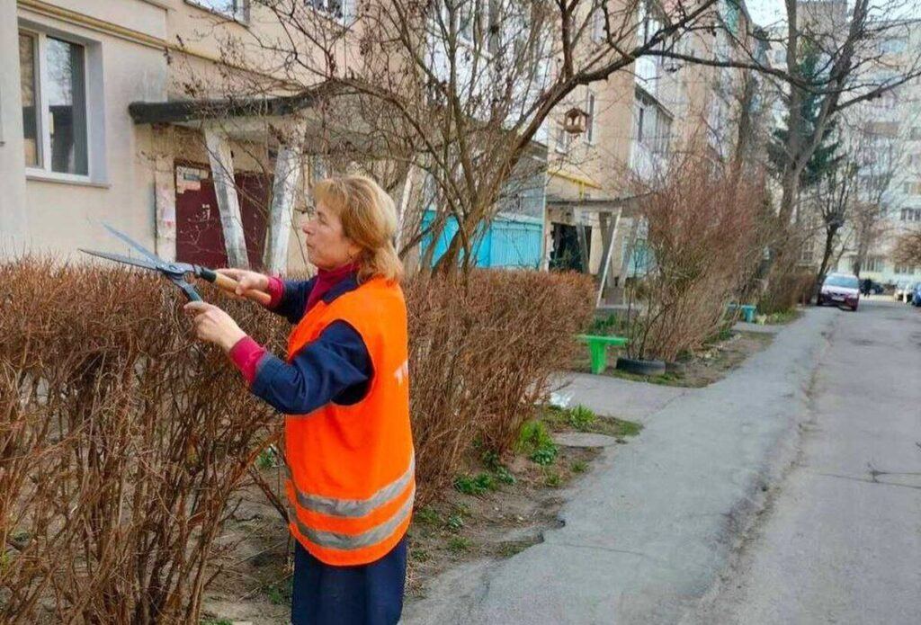 До середини квітня у Вінниці триватиме обрізка гілля та формування «живої» огорожі на прибудинкових територіях